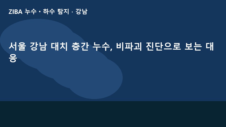 서울 강남 대치 층간 누수, 비파괴 진단으로 보는 대응