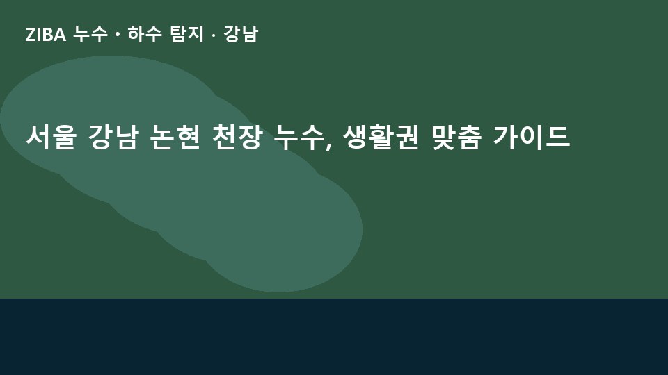 서울 강남 논현 천장 누수, 생활권 맞춤 가이드