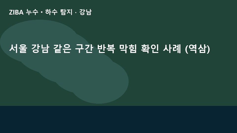 서울 강남 같은 구간 반복 막힘 확인 사례 (역삼)