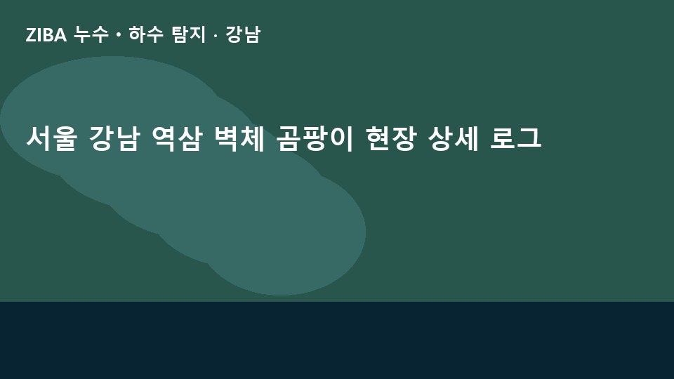 서울 강남 역삼 벽체 곰팡이 현장 상세 로그