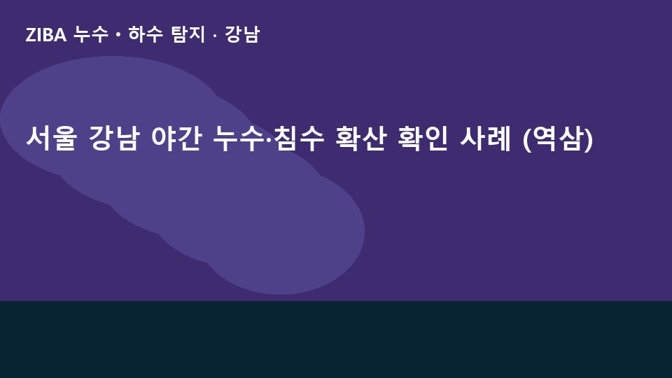 서울 강남 야간 누수·침수 확산 확인 사례 (역삼)