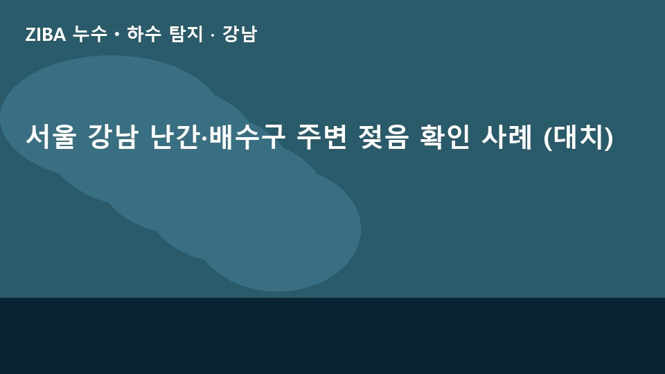 서울 강남 난간·배수구 주변 젖음 확인 사례 (대치)