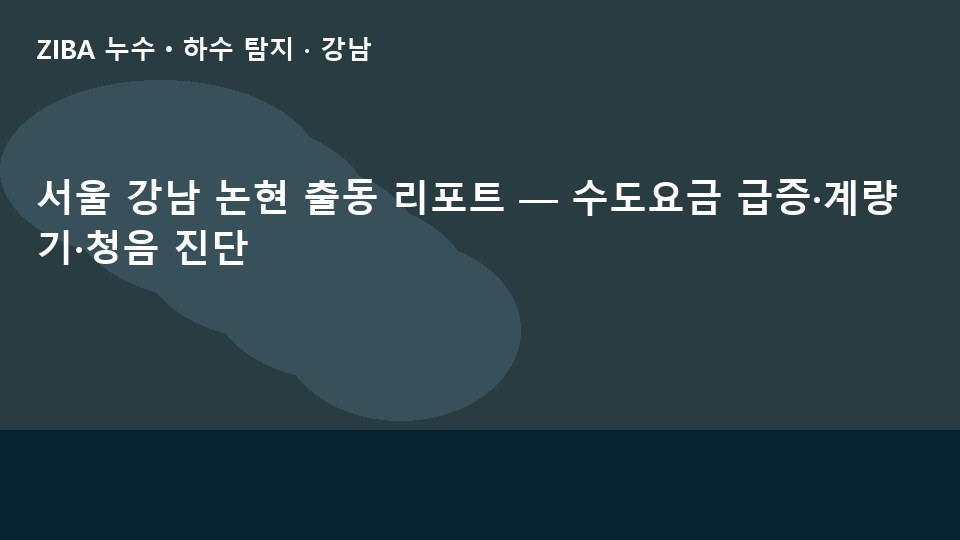 서울 강남 논현 출동 리포트 — 수도요금 급증·계량기·청음 진단