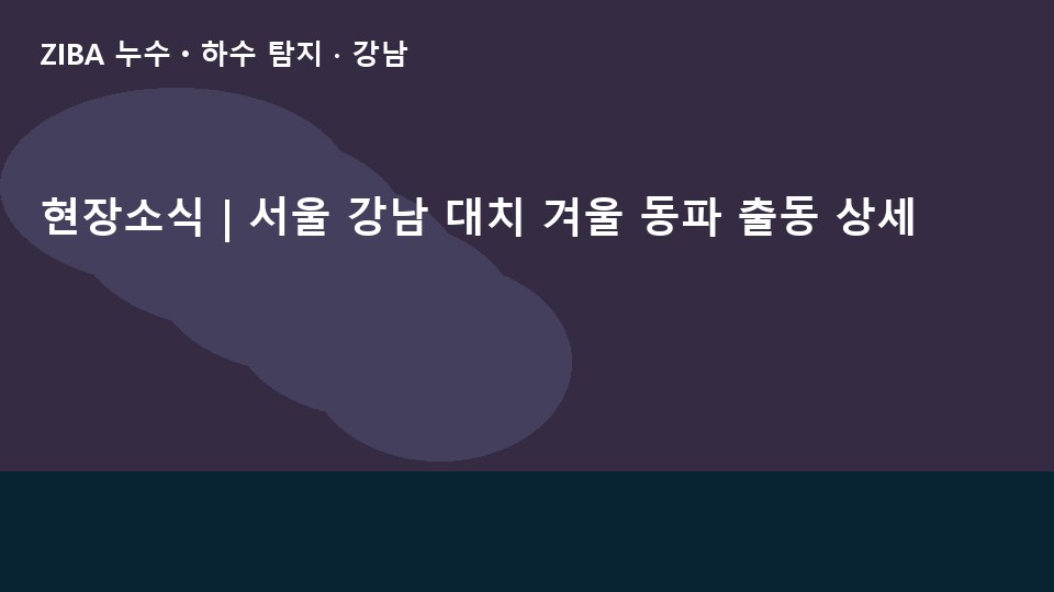 현장소식 | 서울 강남 대치 겨울 동파 출동 상세